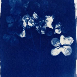 Monotype Printmaking Workshop