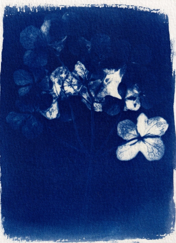Monotype Printmaking Workshop